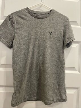 American Eagle Outfitters Gray Short-Sleeve Crewneck Tee with Embroidered Logo